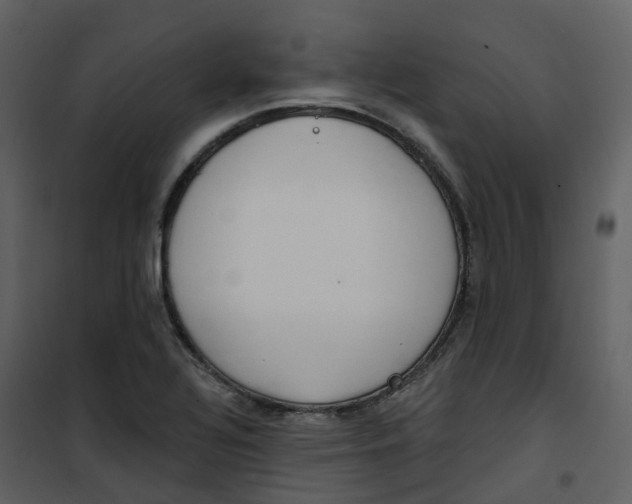 X0000101201320200807181525