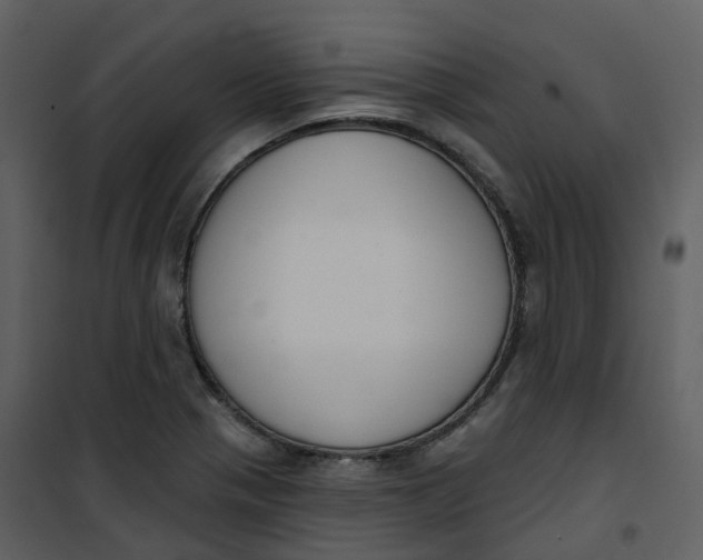 X0000101201321200807181525