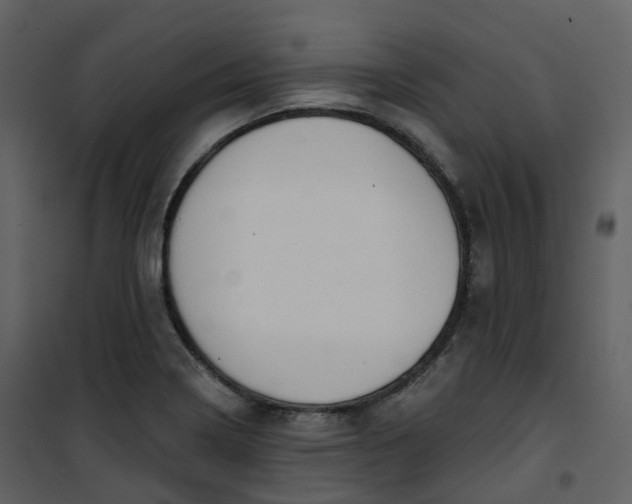 X0000101201322200807181525