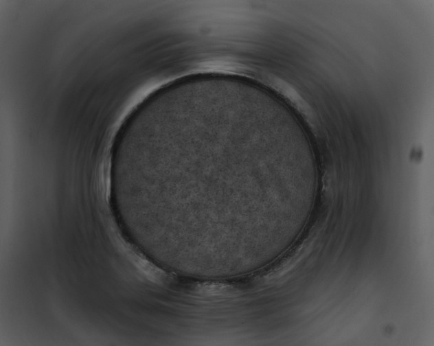 X0000101201323200807181525