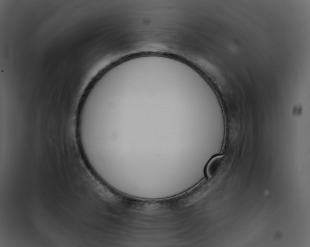 X0000101201326200807181525