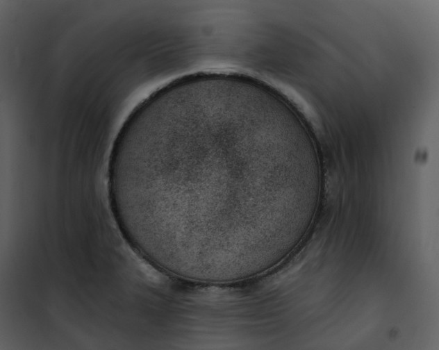 X0000101201327200807181525