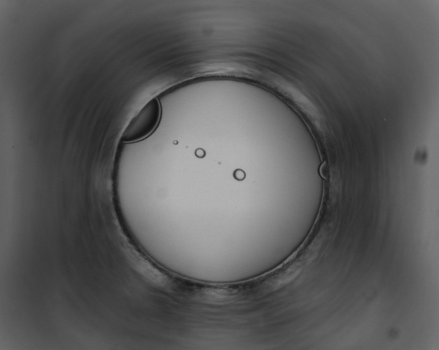 X0000101201330200807181525