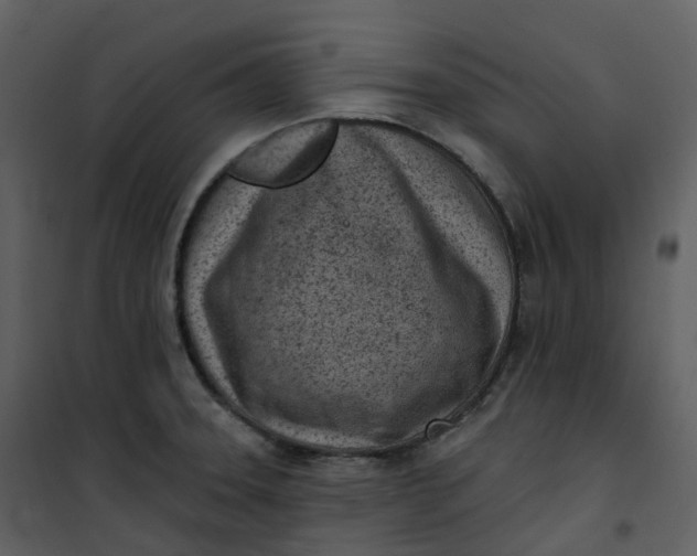 X0000101201331200807181525