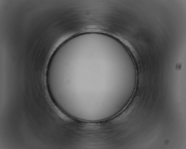 X0000101201333200807181525