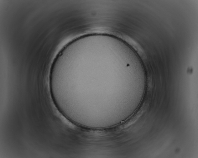 X0000101201334200807181525