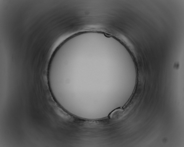 X0000101201336200807181525