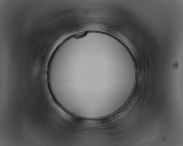 X0000101201339200807181525