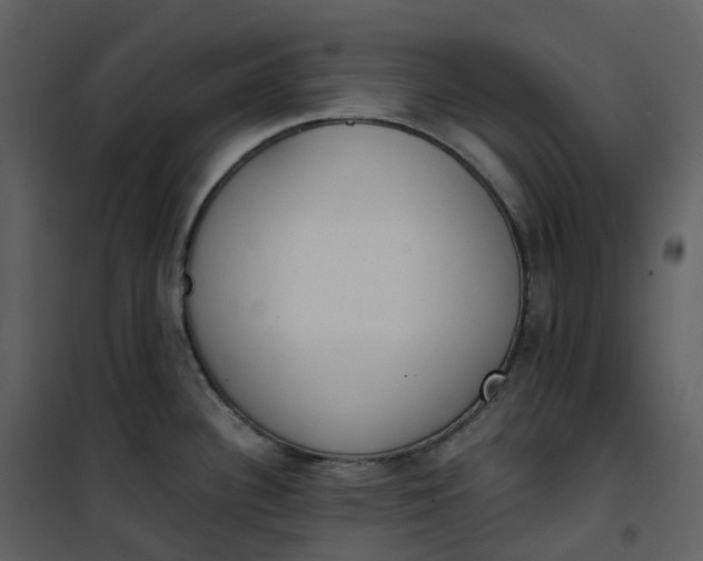 X0000101201340200807181525