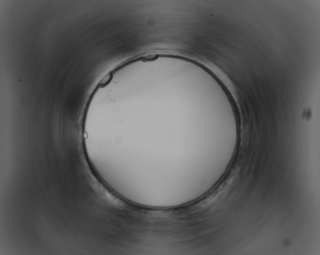 X0000101201341200807181525