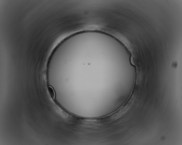 X0000101201342200807181525