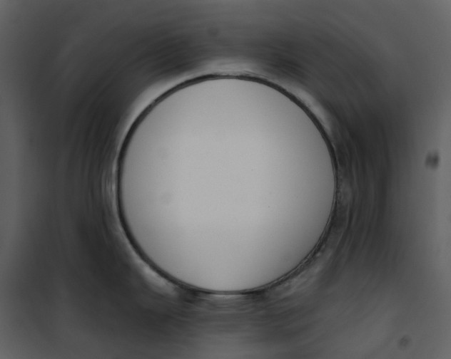 X0000101201343200807181525