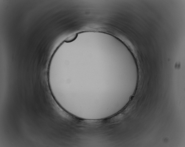 X0000101201344200807181525