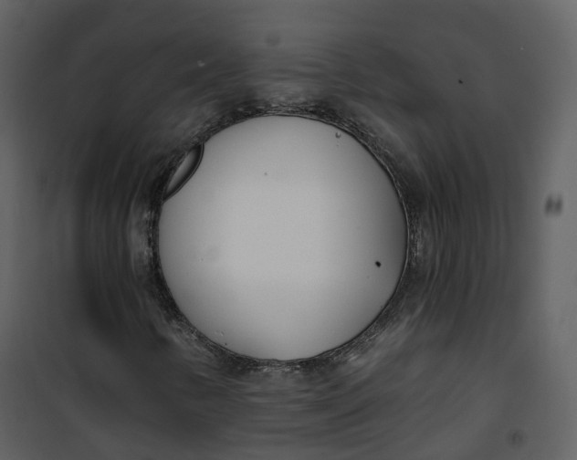 X0000101201346200807181525