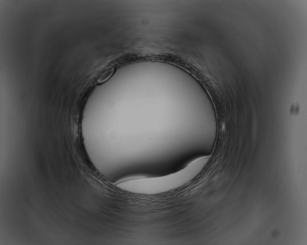 X0000101201348200807181525