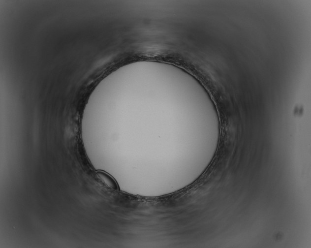 X0000101201349200807181525