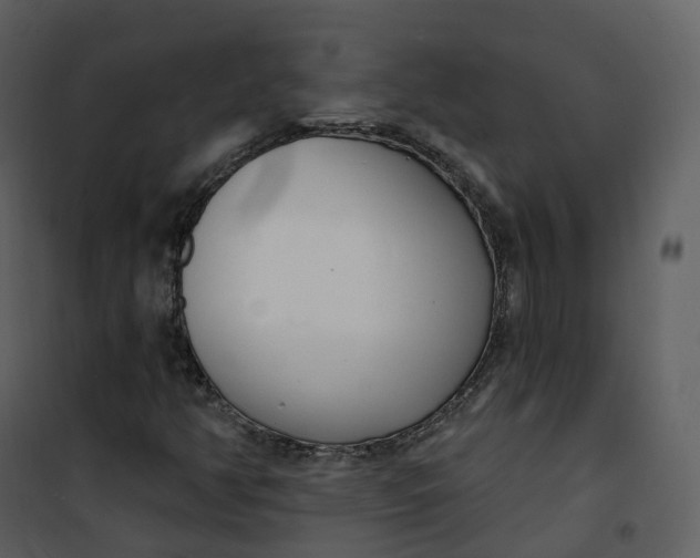 X0000101201350200807181525