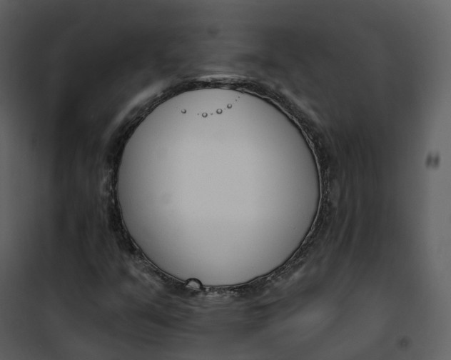 X0000101201351200807181525