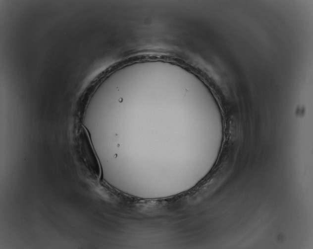 X0000101201352200807181525