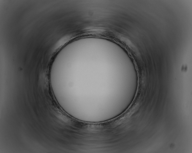 X0000101201354200807181525