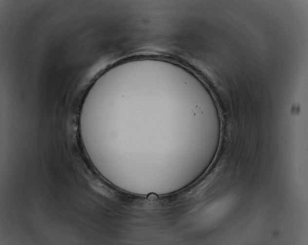 X0000101201355200807181525