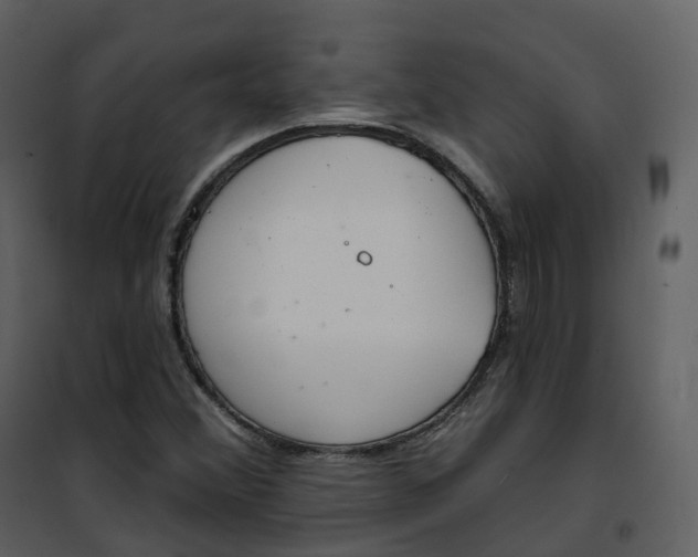 X0000101201356200807181525