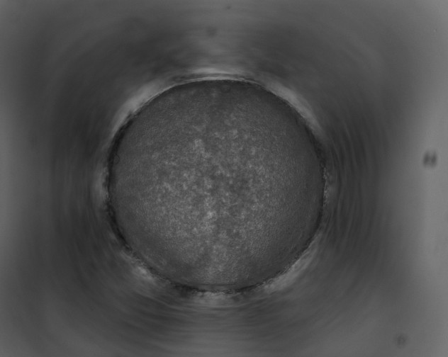 X0000101201357200807181525