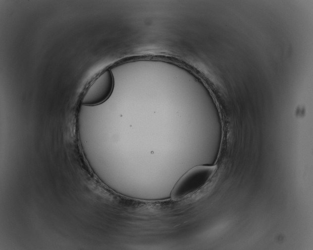 X0000101201358200807181525