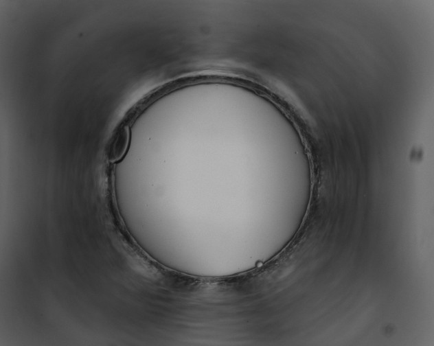 X0000101201360200807181525