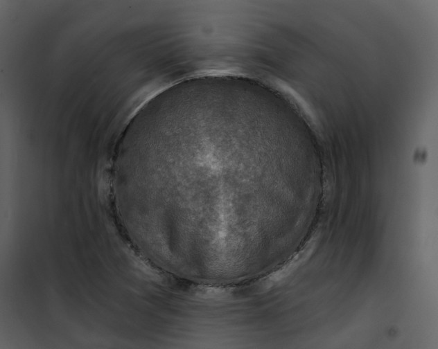 X0000101201361200807181525