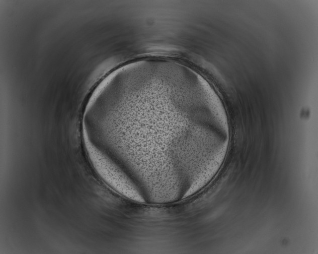 X0000101201362200807181525