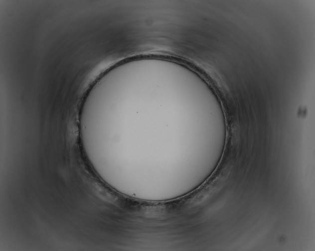 X0000101201363200807181525