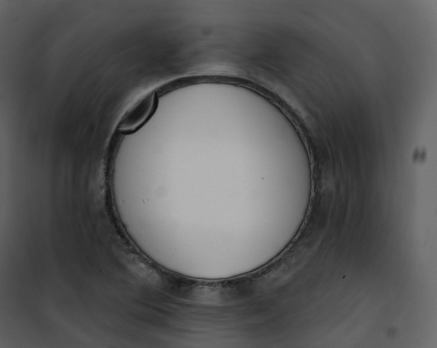 X0000101201364200807181525