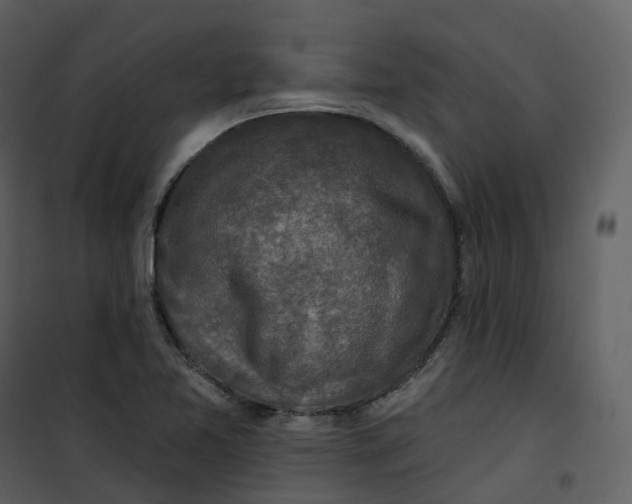 X0000101201365200807181525