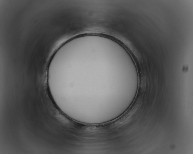 X0000101201366200807181524