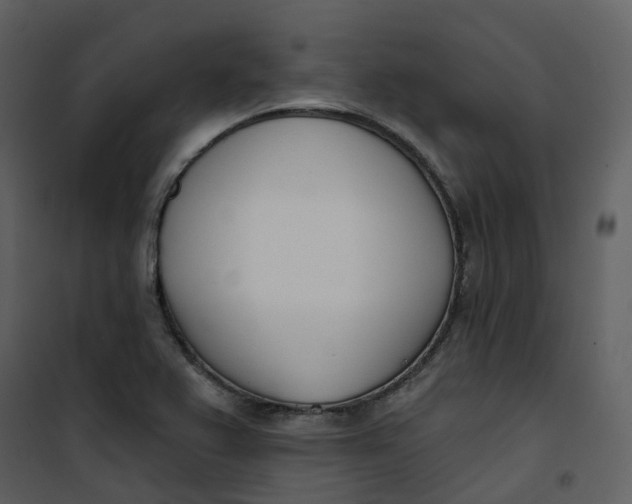 X0000101201367200807181524