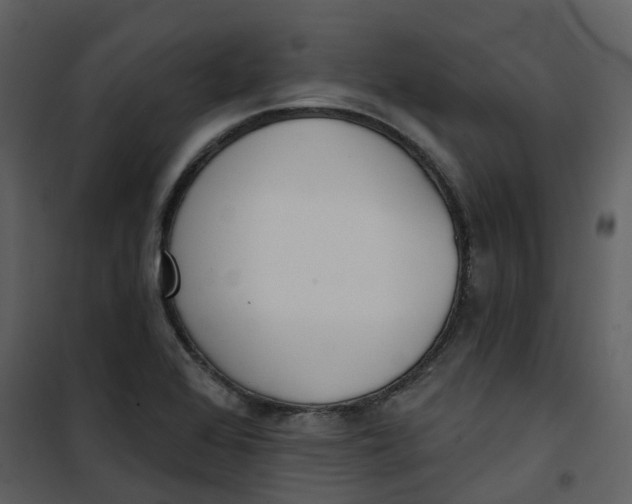 X0000101201368200807181524