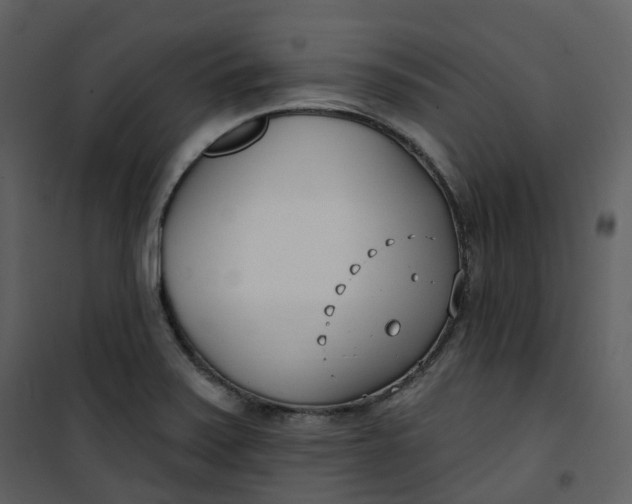 X0000101201371200807181524