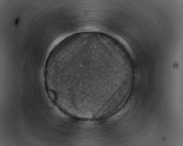 X0000101201373200807181524