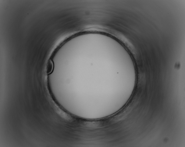 X0000101201376200807181524