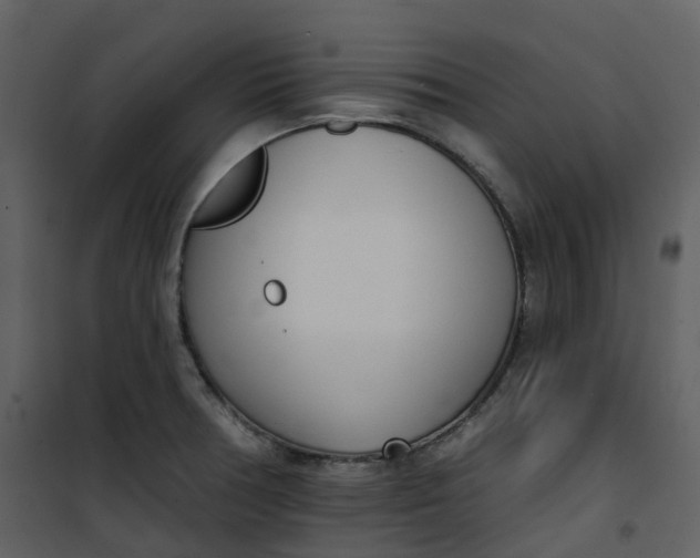 X0000101201378200807181524