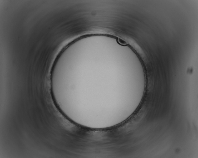 X0000101201380200807181524