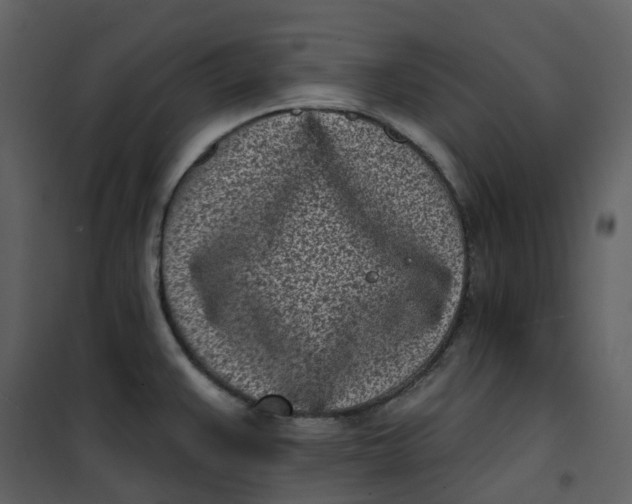 X0000101201383200807181524