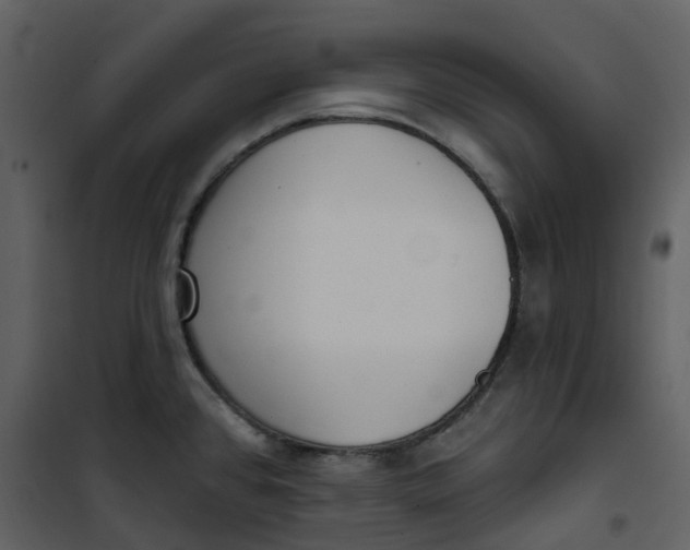 X0000101201384200807181524