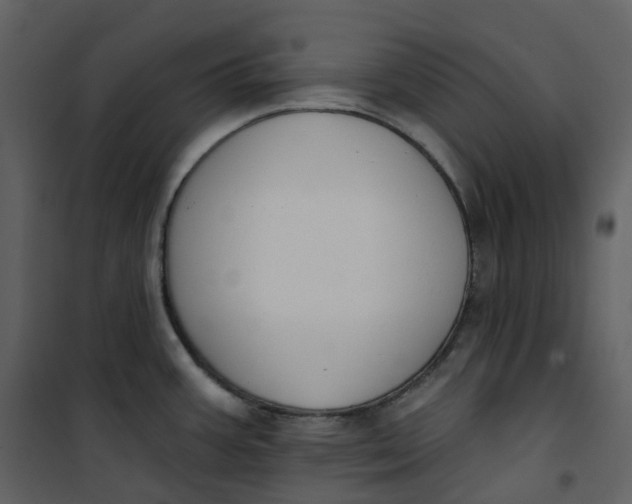 X0000101201387200807181524