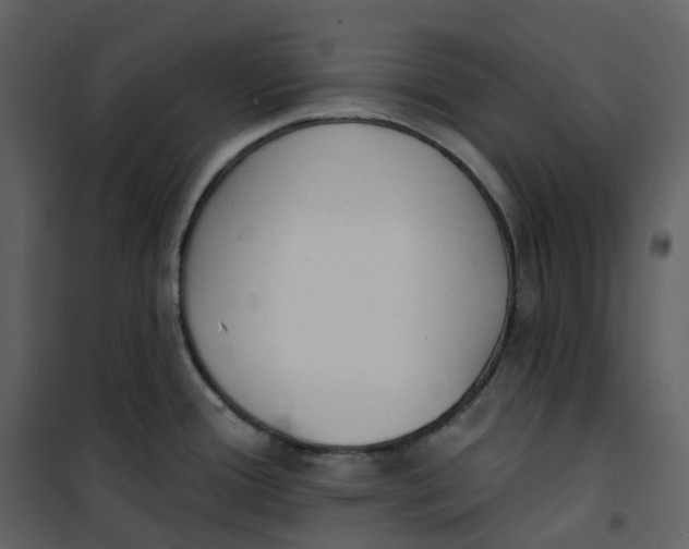 X0000101201388200807181524