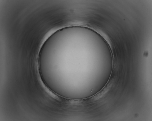 X0000101201389200807181524