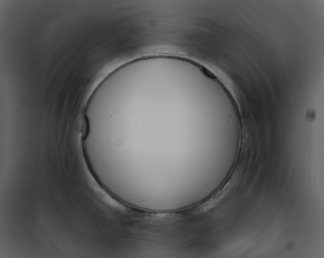 X0000101201390200807181524