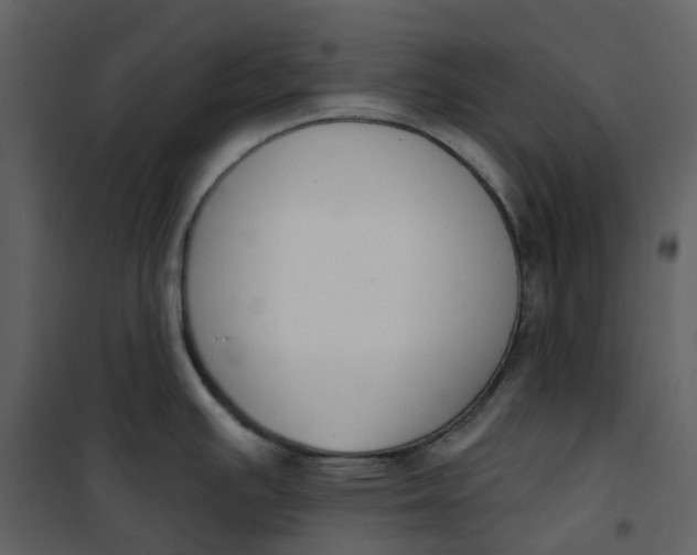 X0000101201391200807181524