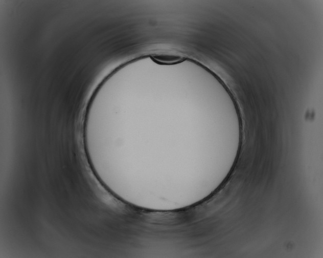 X0000101201392200807181524